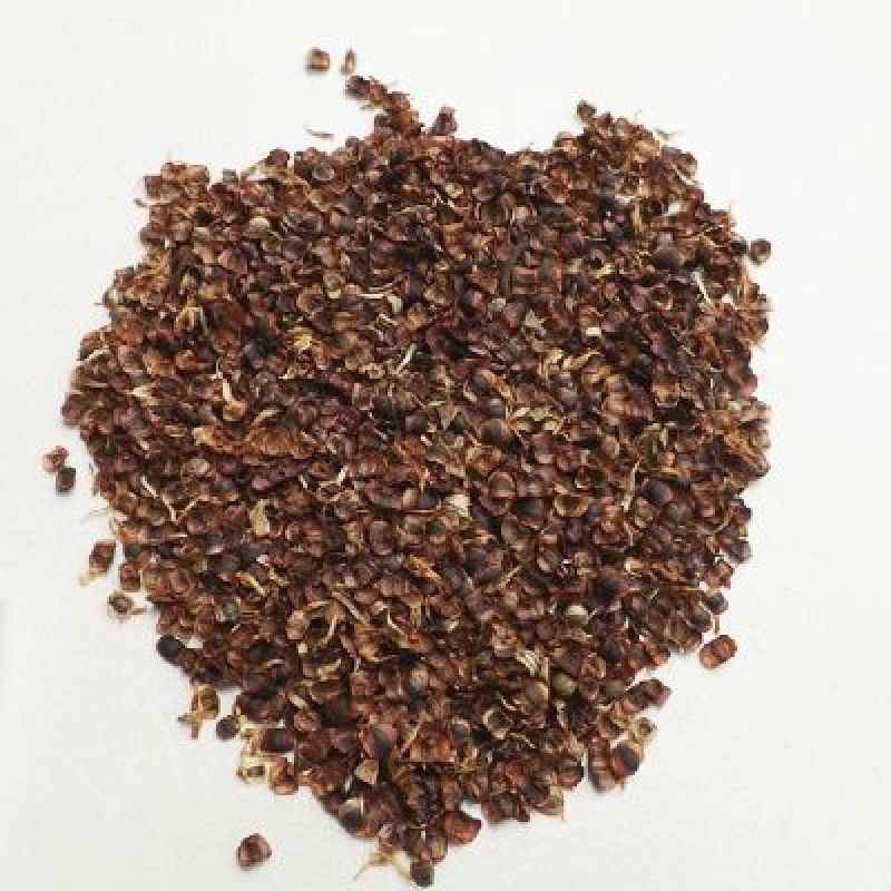 金鸡菊种子花卉种子花期长发芽快8-10斤/亩