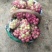花串。。