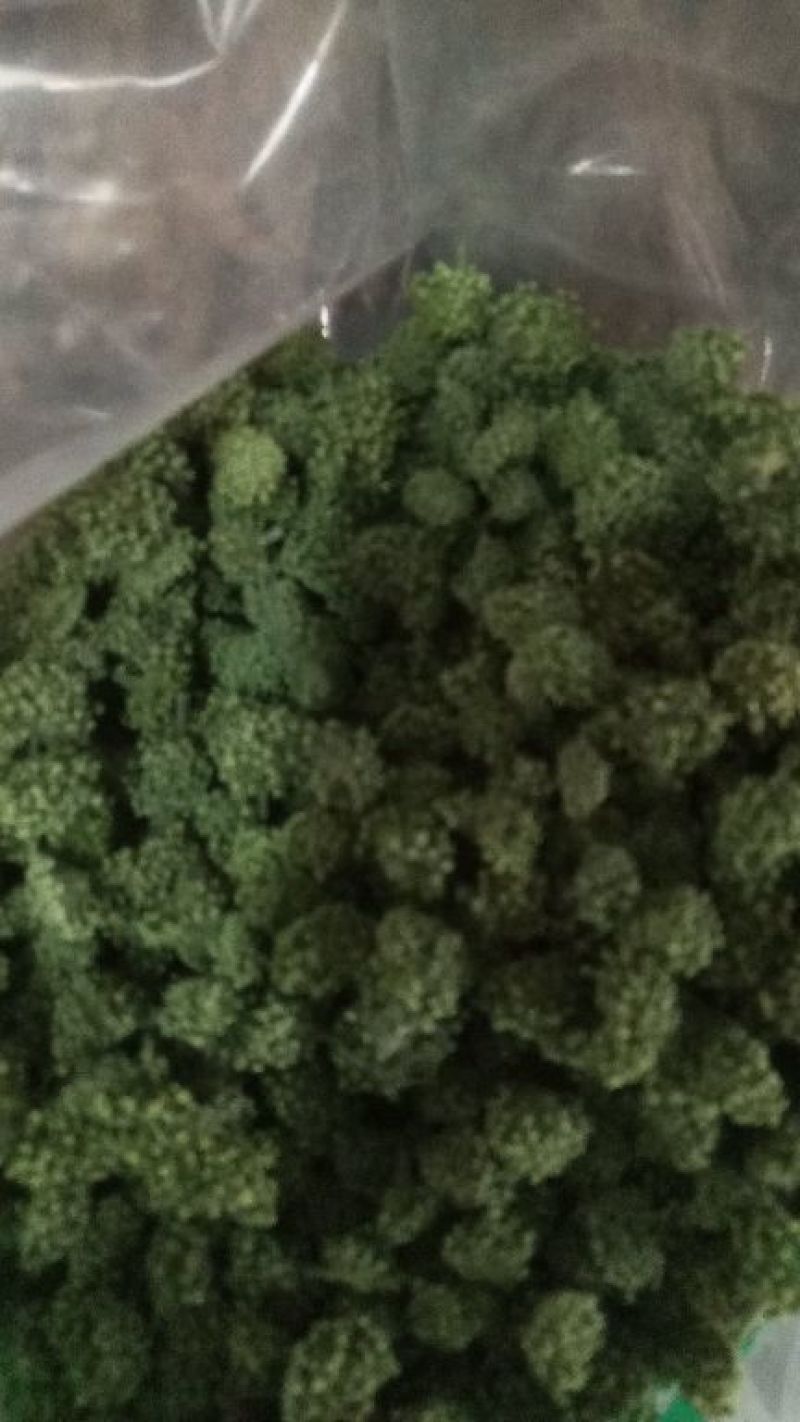 三七花，三年大花