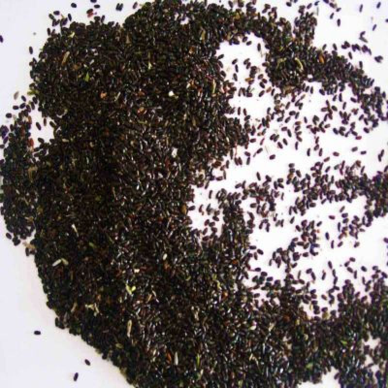 薰衣草种子进口花卉种子发芽快耐寒5斤/亩