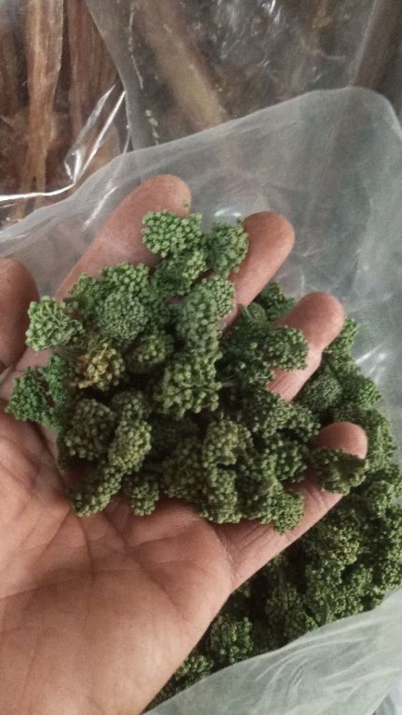 三七花，三年大花