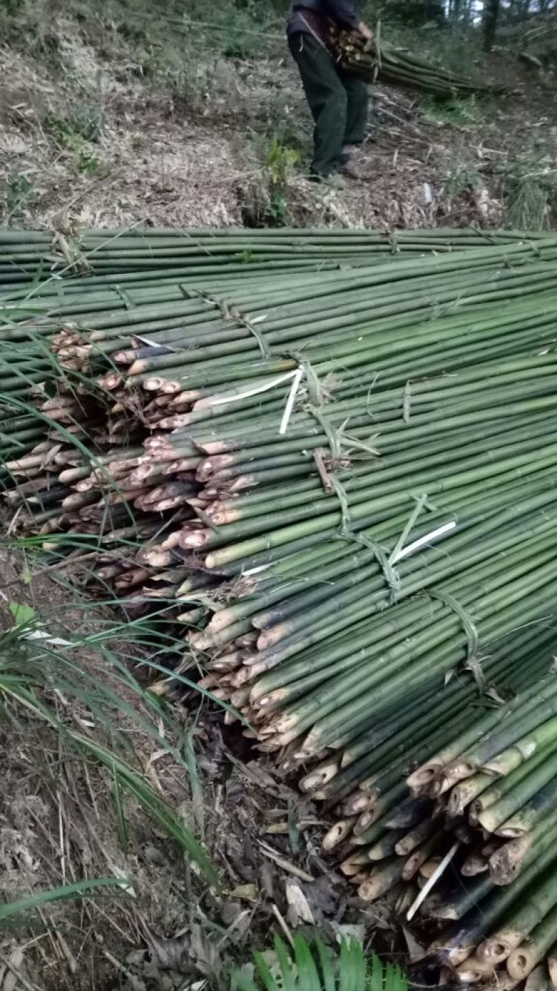 【帮农竹业】大棚竹杆，果撑，用于脚蔬菜大棚等