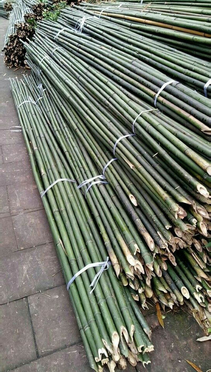 【帮农竹业】大棚竹杆，果撑，用于脚蔬菜大棚等