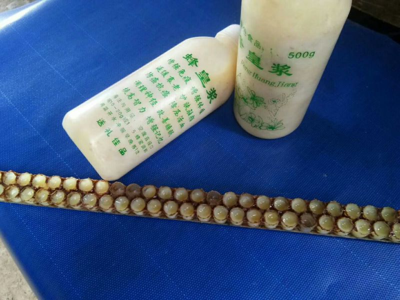 新疆尼勒克黑蜂蜂蜜