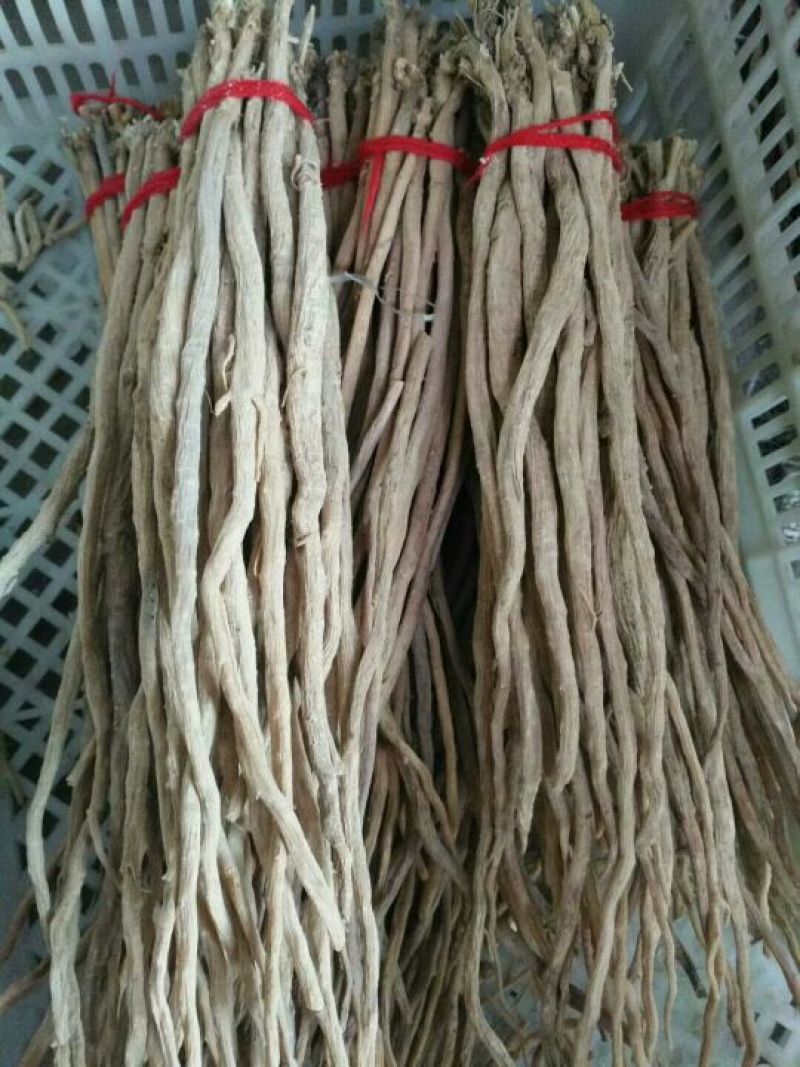 怀牛膝河南焦作怀庆府怀药材牛夕牛七中草药