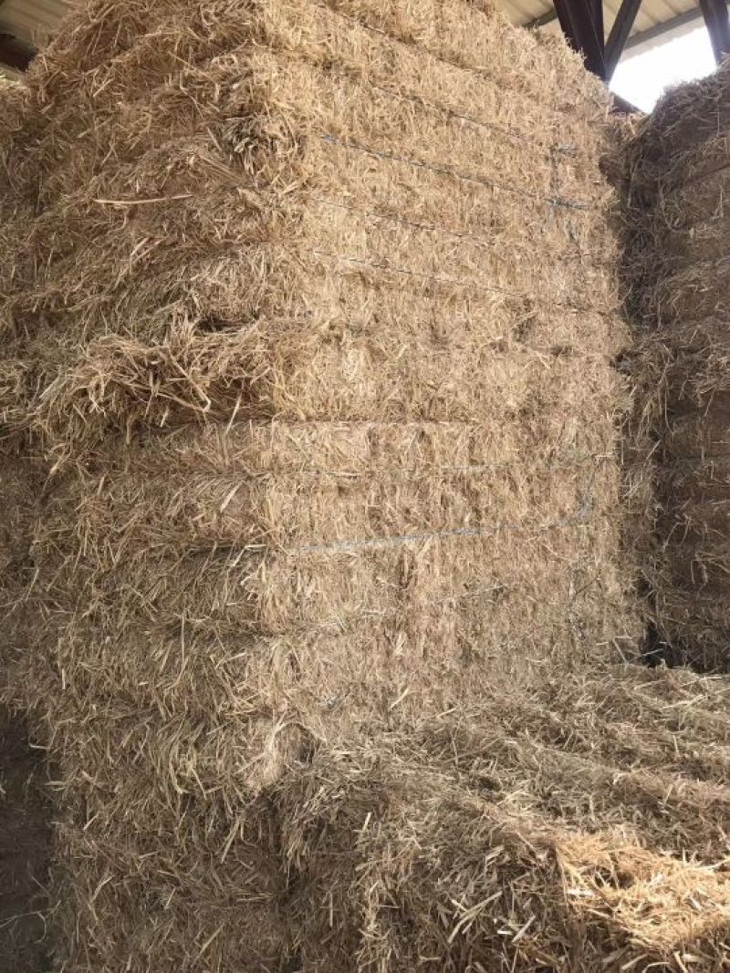 出售各种规格稻草秸秆量大从优，草料各种规格齐全