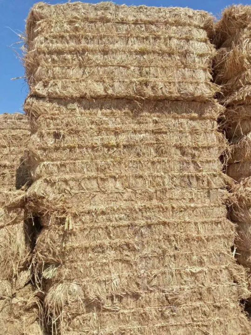 出售各种规格稻草秸秆量大从优，草料各种规格齐全