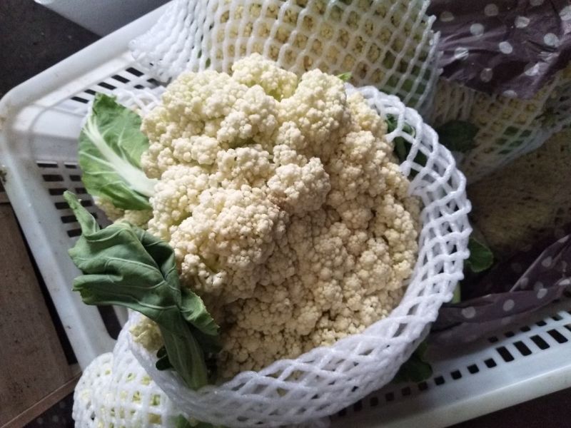 散花，全国的散花在这里汇聚，品类齐全，保质保量，