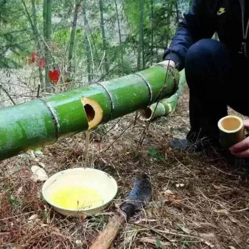 天然竹筒酒