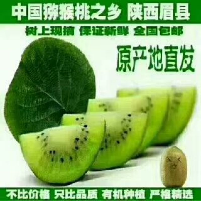 徐香猕猴桃70-90克