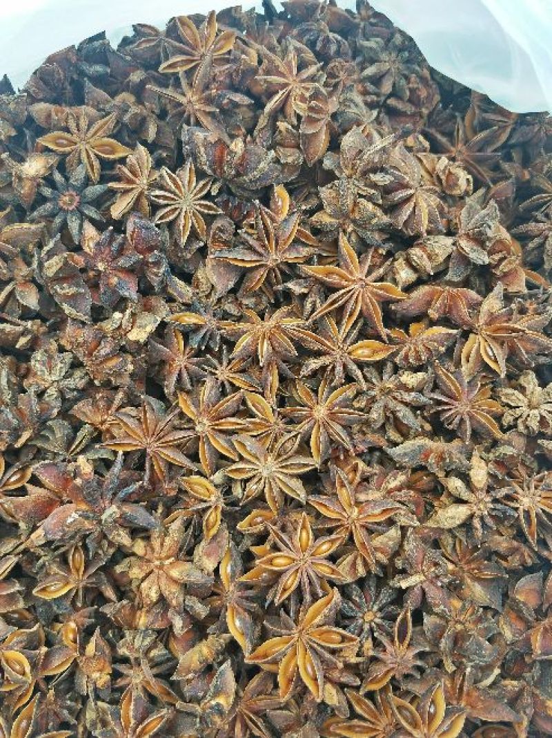 广西秋大红八角水烫果