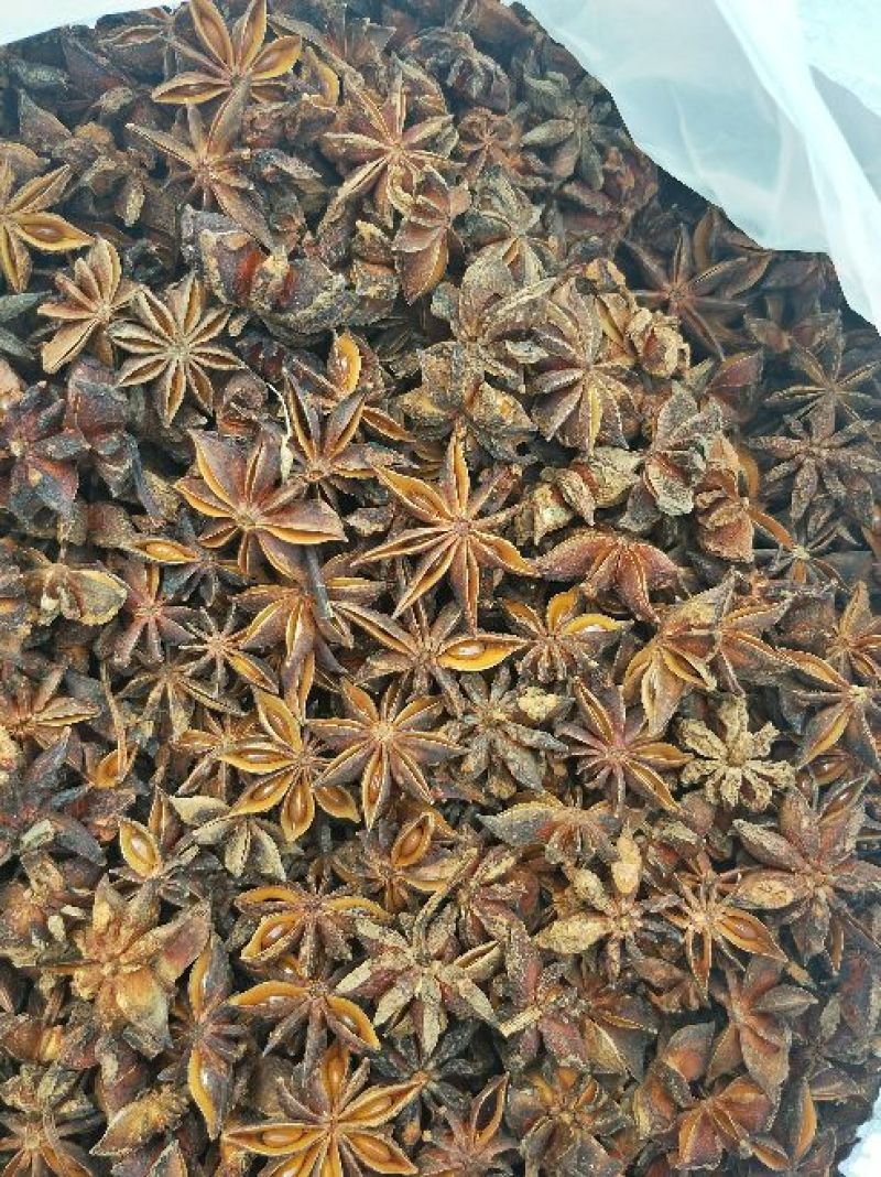 广西秋大红八角水烫果