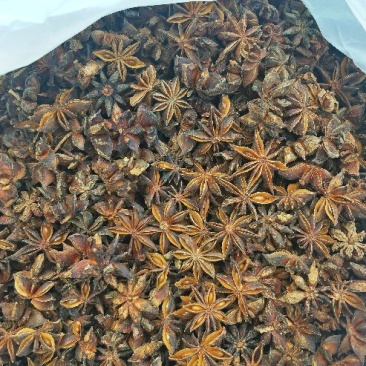 广西秋大红八角水烫果