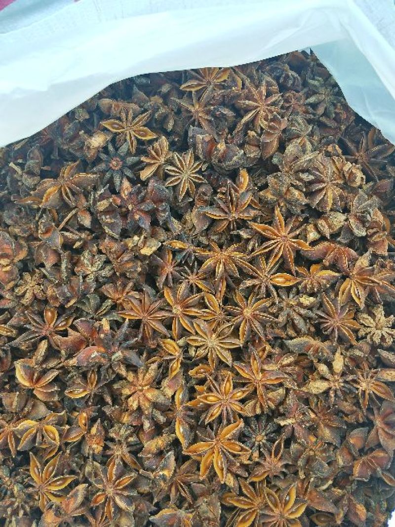 广西秋大红八角水烫果