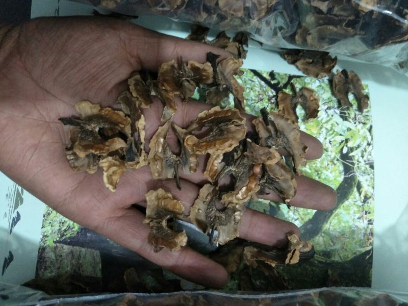 分心木云南现剥分心木现时发货