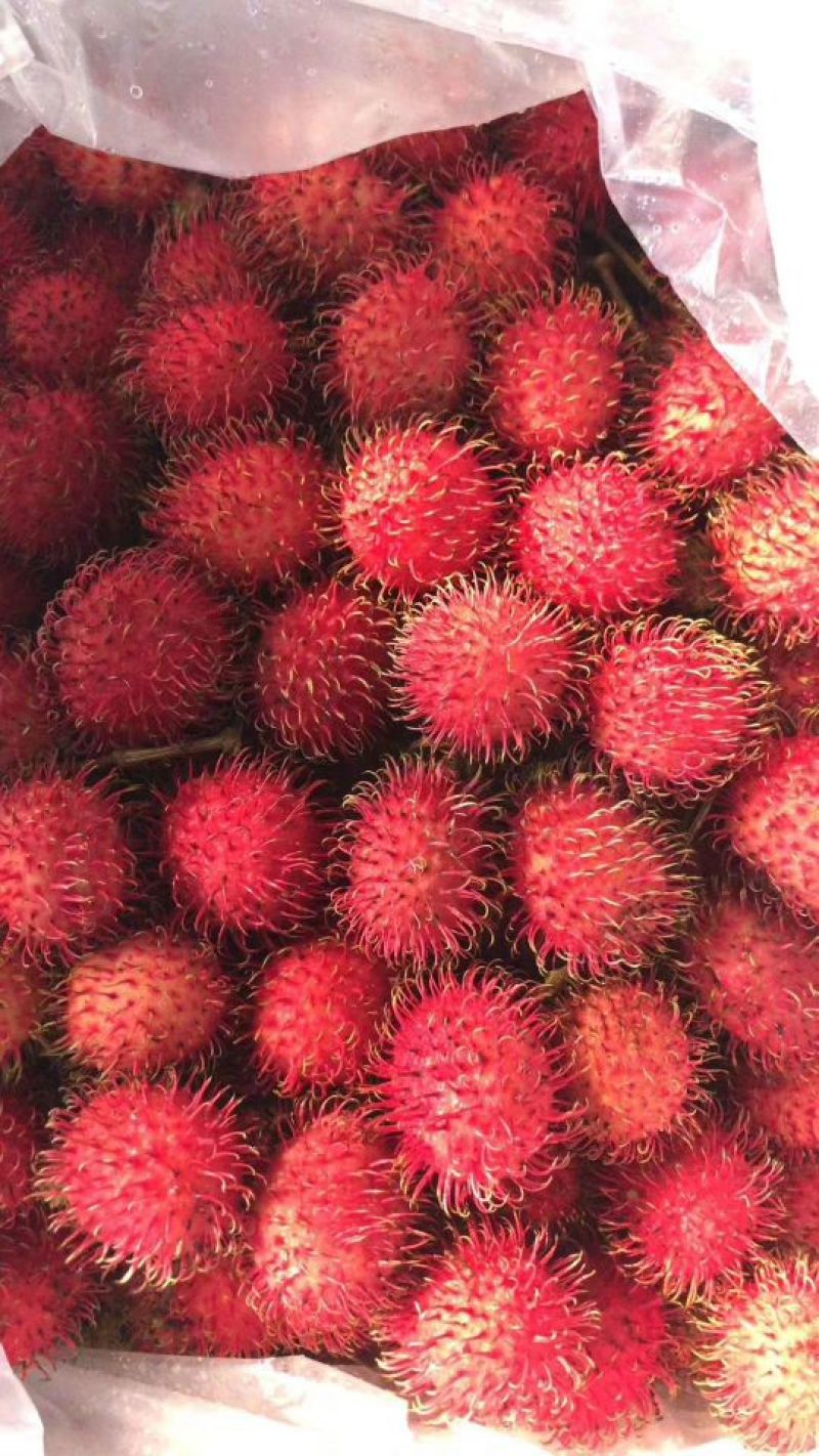 红毛丹
