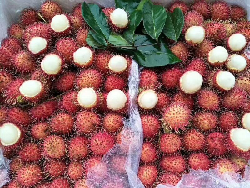红毛丹