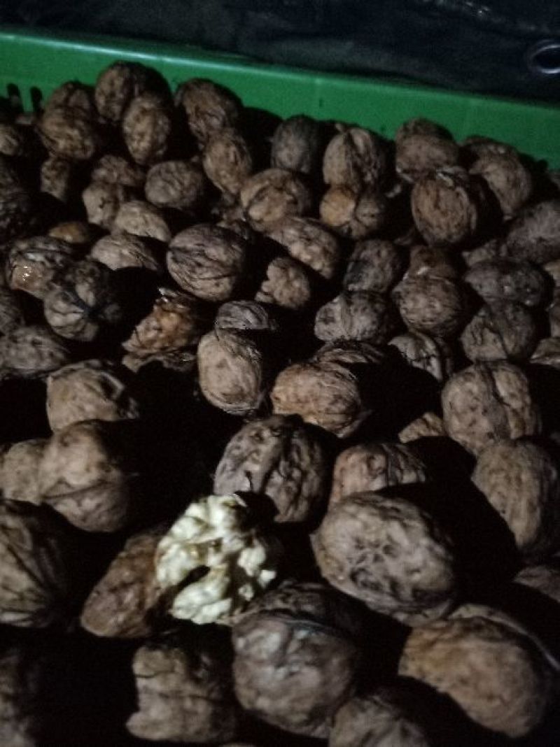 核桃才三块多一斤了