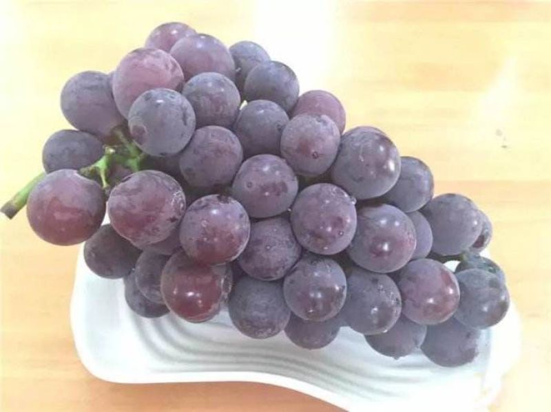 精品户太（串型紧促，大颗粒，甜度高，果粉好）