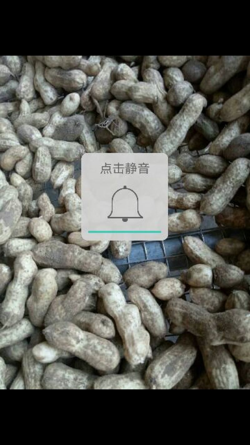 鲜花生，