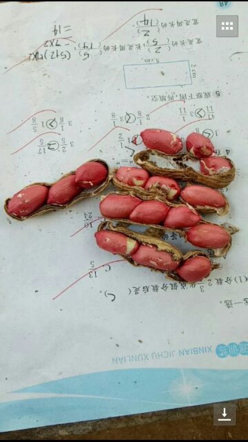鲜花生，