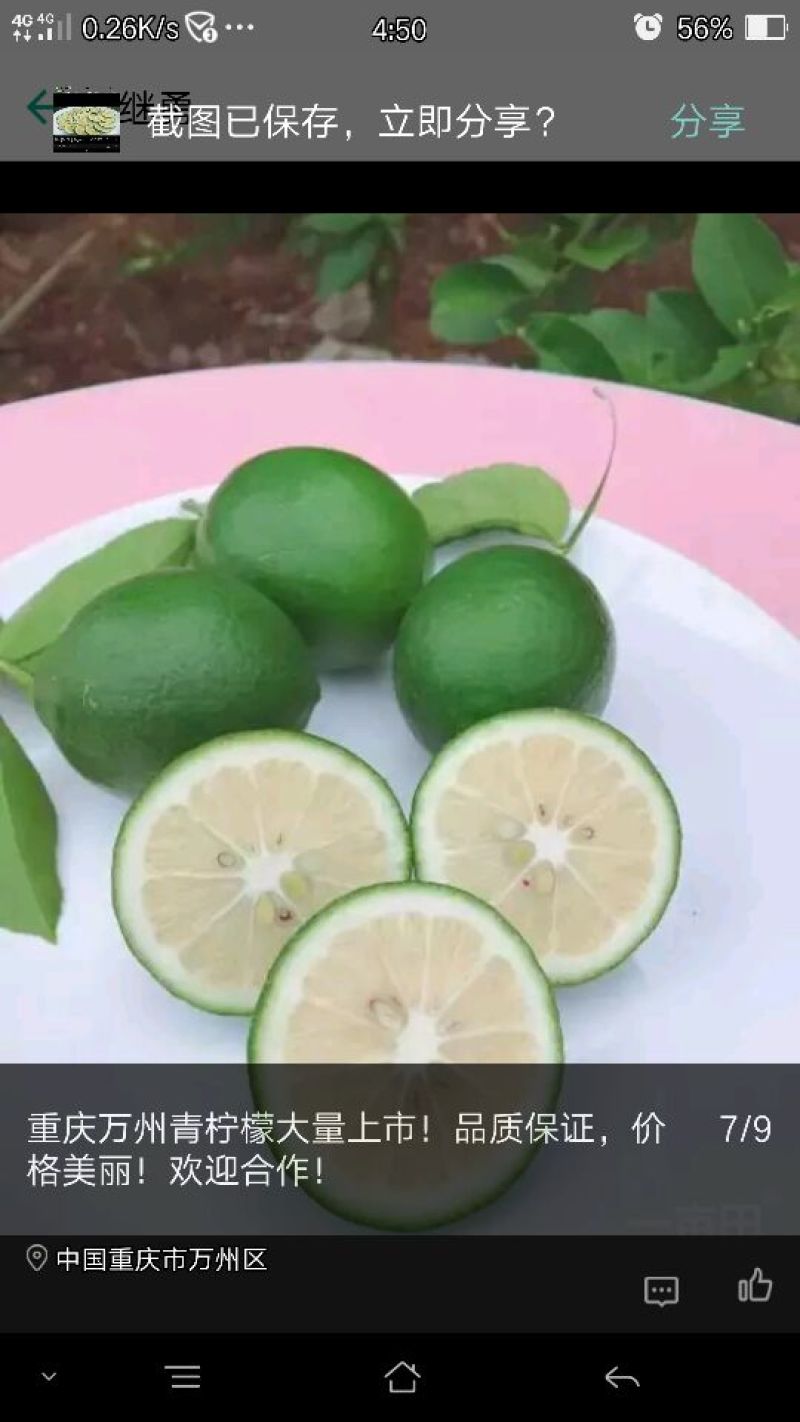 尤力克青果！北京青柠檬