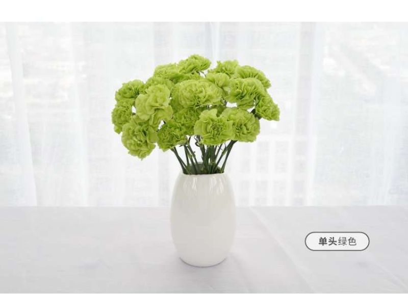 康乃馨鲜花