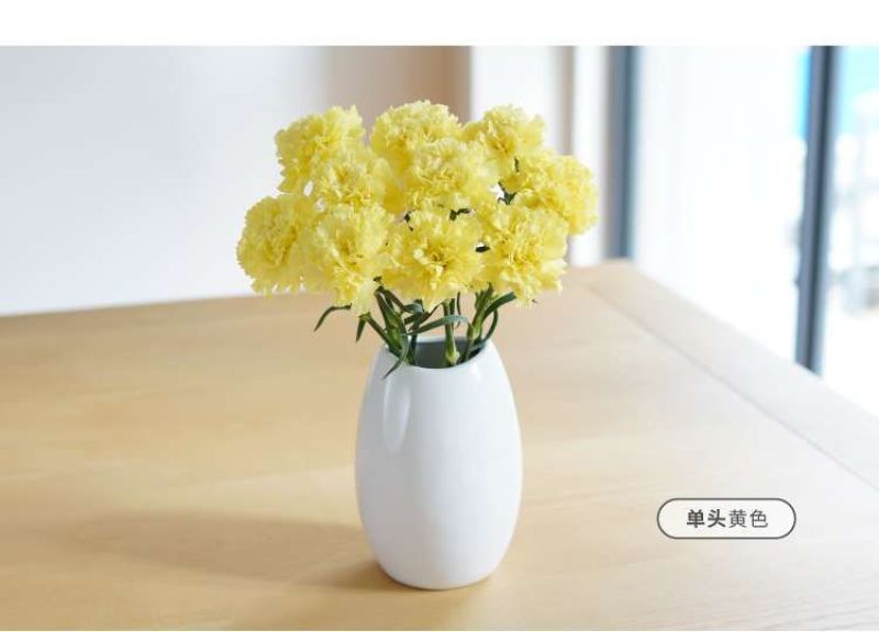 康乃馨鲜花