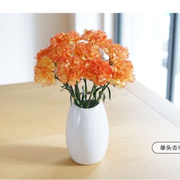 康乃馨鲜花