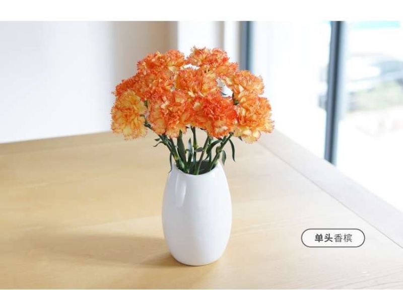 康乃馨鲜花