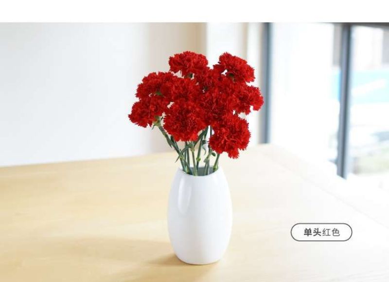 康乃馨鲜花
