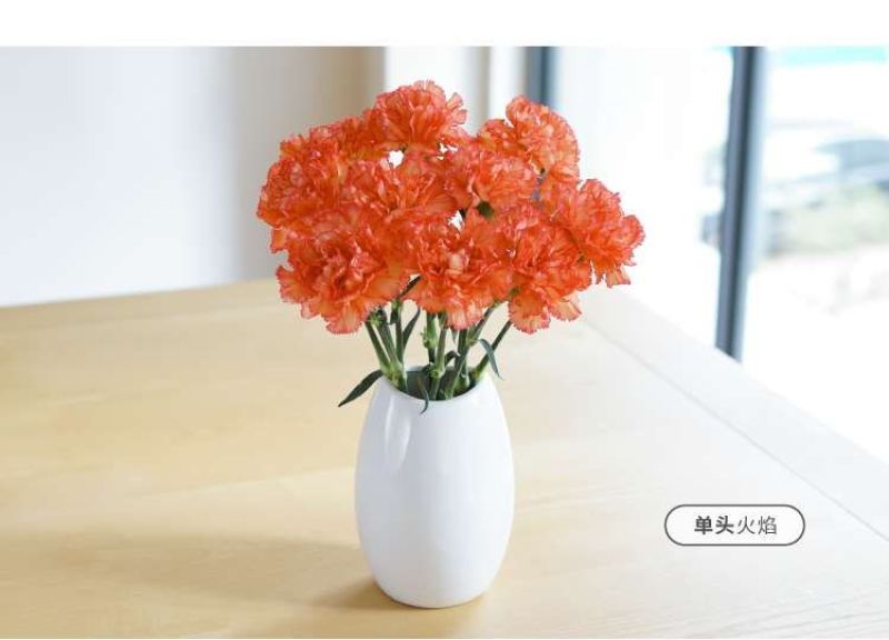 康乃馨鲜花