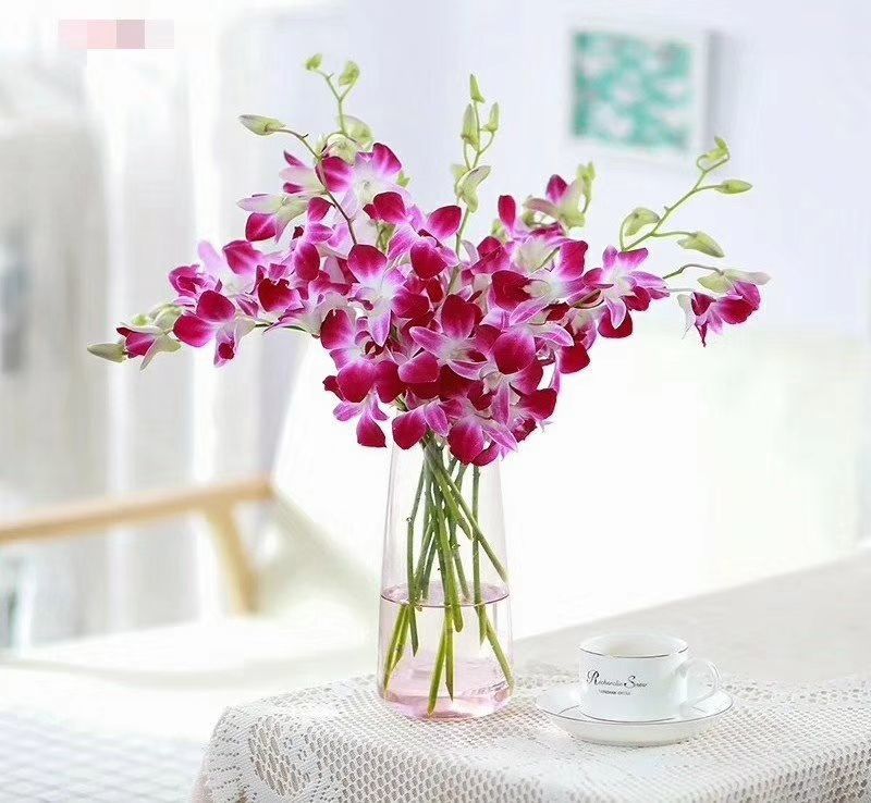 泰国洋兰鲜花