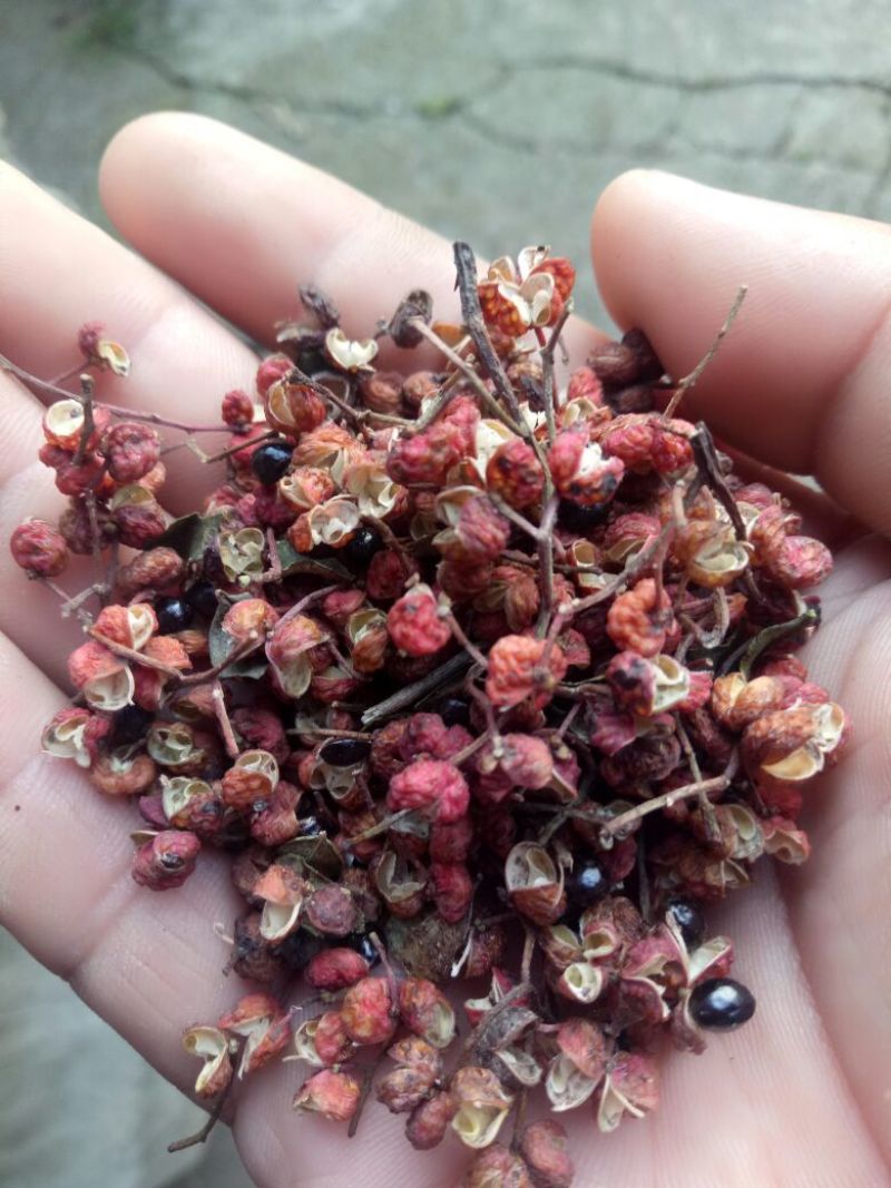 优质花椒