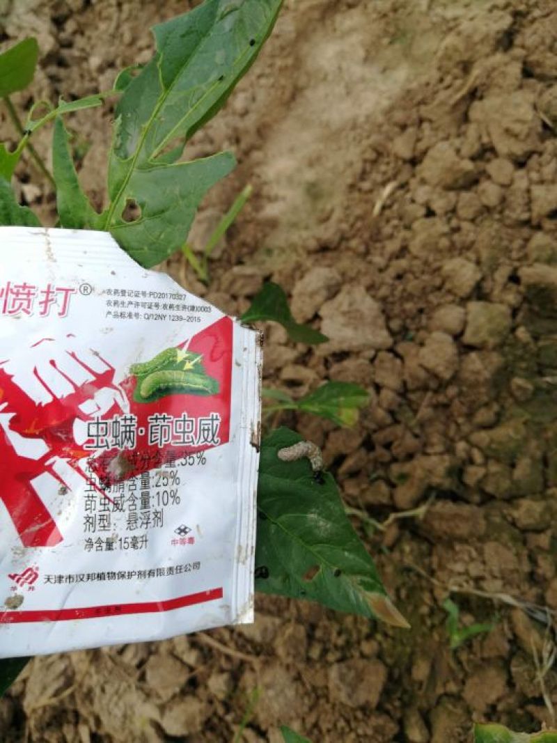 杀虫剂，大小青虫一扫光，虫螨.茚虫威