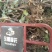 河北优质葡萄树占地葡萄树大量供应可视频验货诚信为先