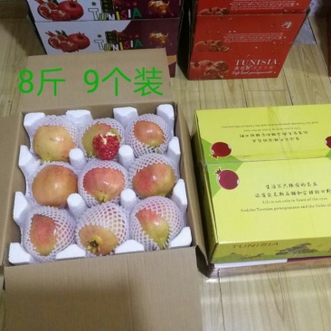 “突尼斯软子石榴