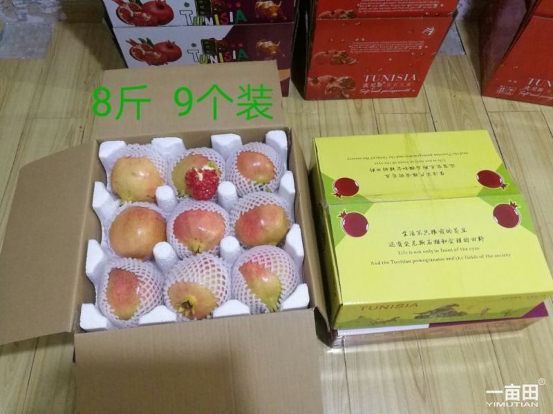 “突尼斯软子石榴