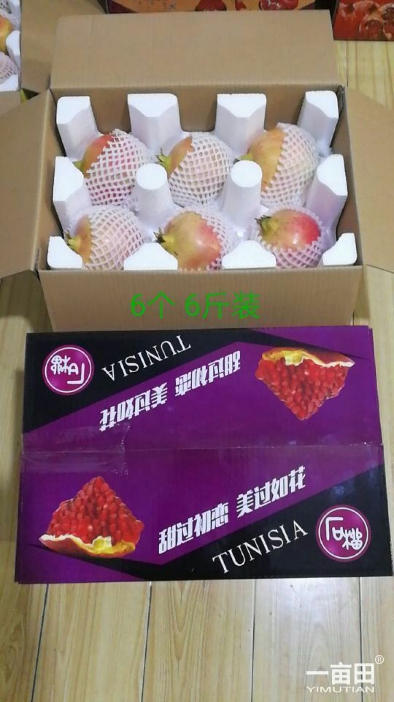 “突尼斯软子石榴