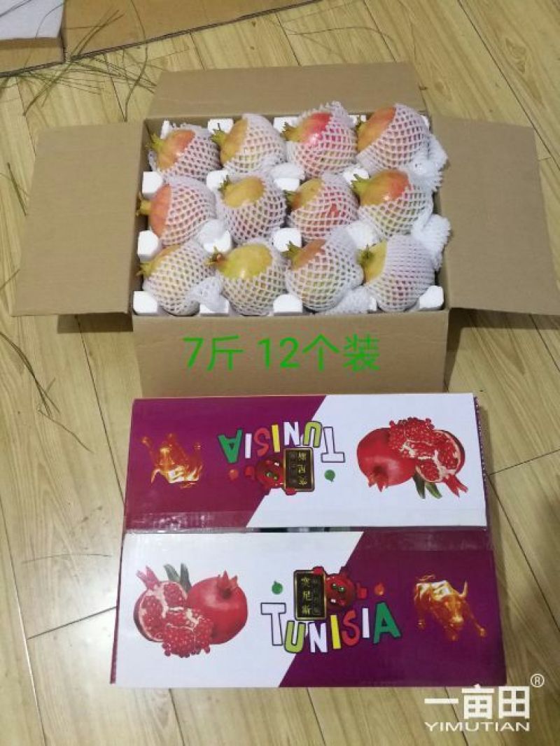 “突尼斯软子石榴