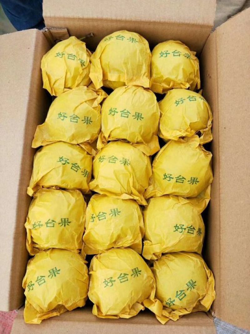 雪花梨产地直供精品雪花梨大量热销中，实力代办，货源充足