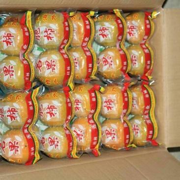 恭城脆柿