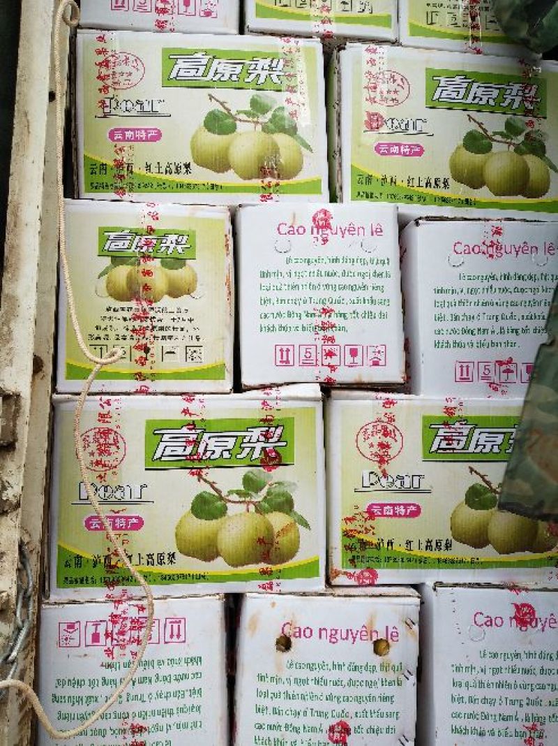 雪花梨产地直供精品雪花梨大量热销中，实力代办，货源充足