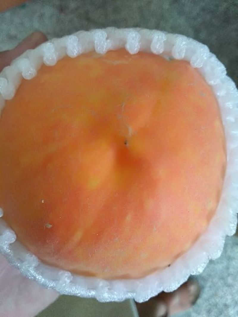 黄金密