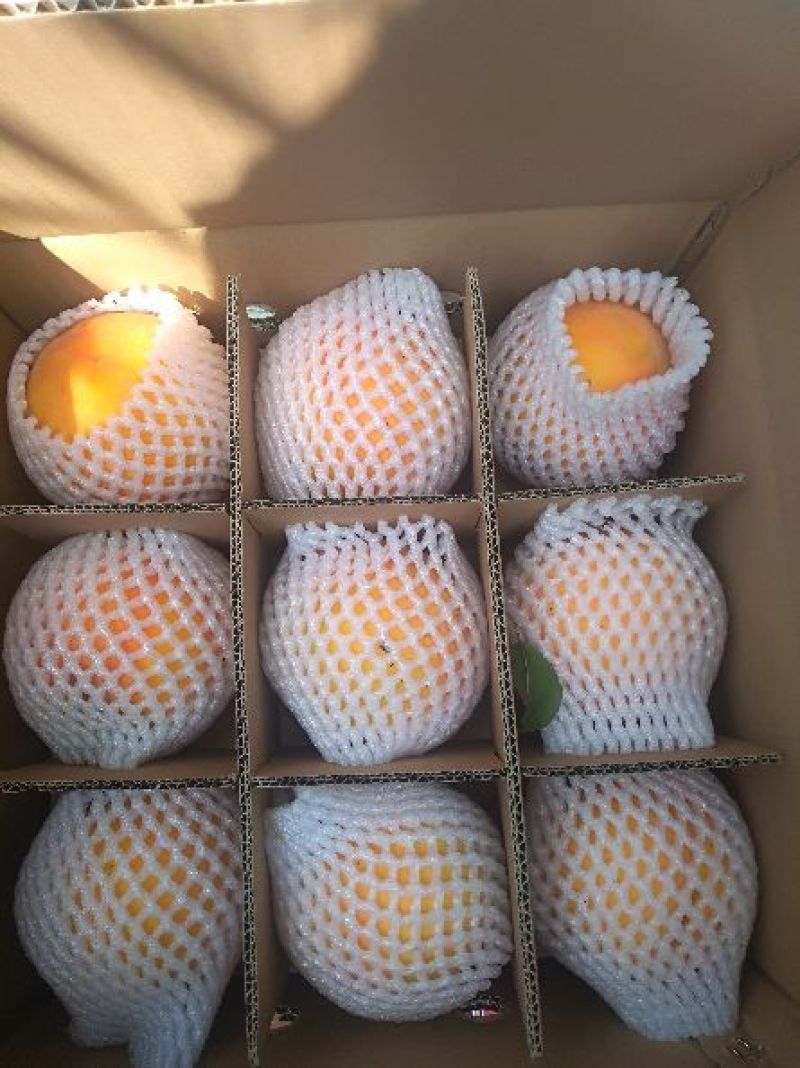 黄金密