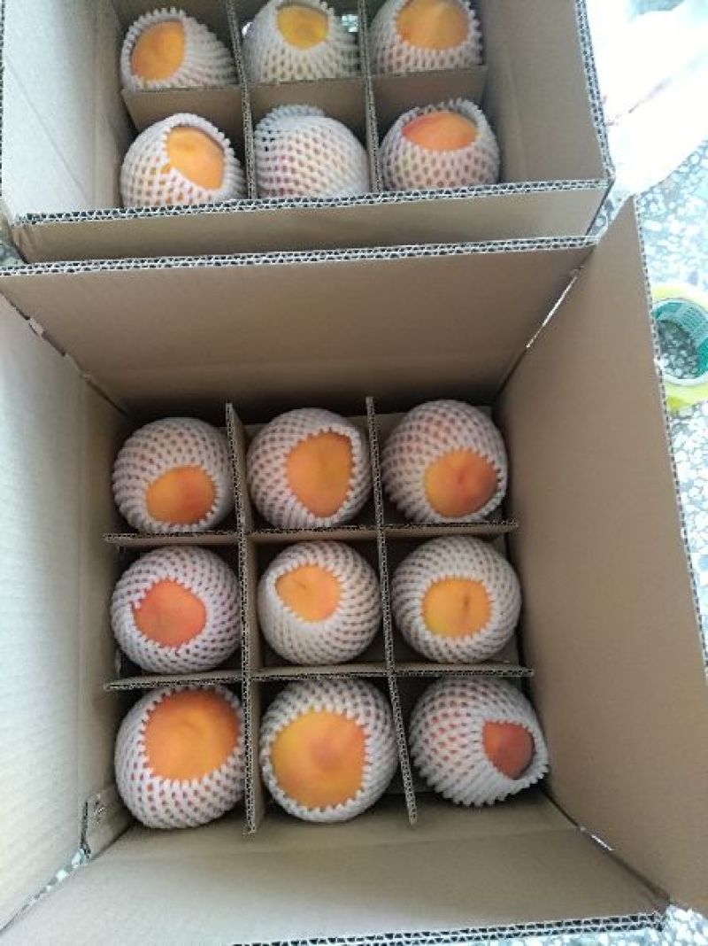 黄金密