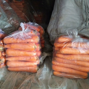 红萝卜，三红，精品红萝卜品种齐全，保质保量，