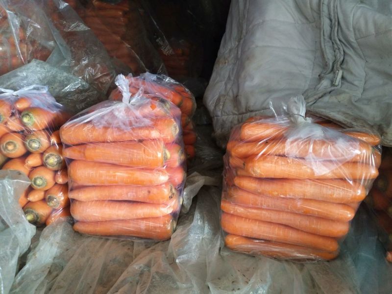 红萝卜，三红，精品红萝卜品种齐全，保质保量，