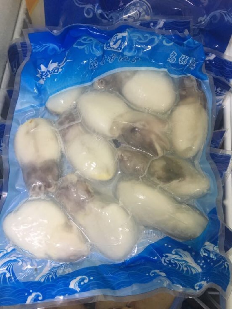 墨鱼仔