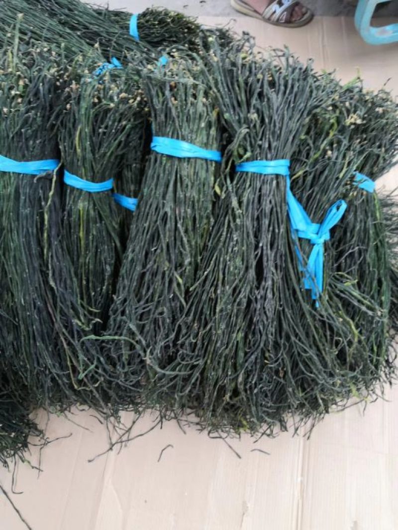 脱水长豆角，青条豆角，精品豆角，豆角干，干豇豆